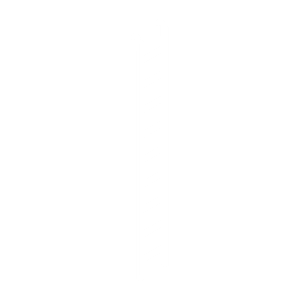 Hook-On ladder 2.24