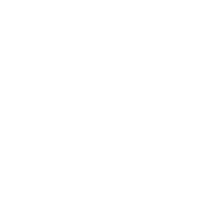 Stripping Piece (SP)