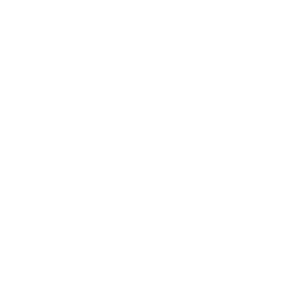 Aluminum Beam (AB) S150 (With Timber)