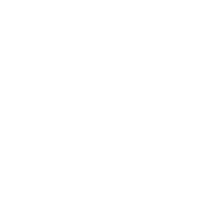 GS Diagonal Brace (DB) With Swivel Ends