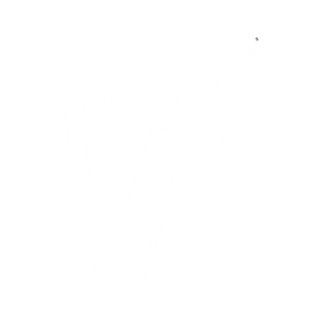 H20 Waler Clamp (H20 to Waling W12+W10)