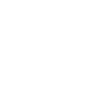 Wooden Plank (WP)  (Timber Board)