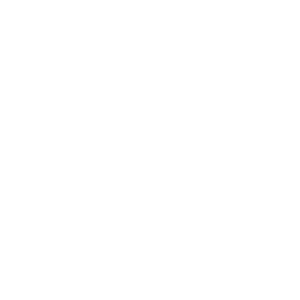 Shorelok 48 - Cantilever Beam Frame