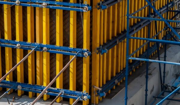 Waling (45)-denoised_sharpened_width=400%